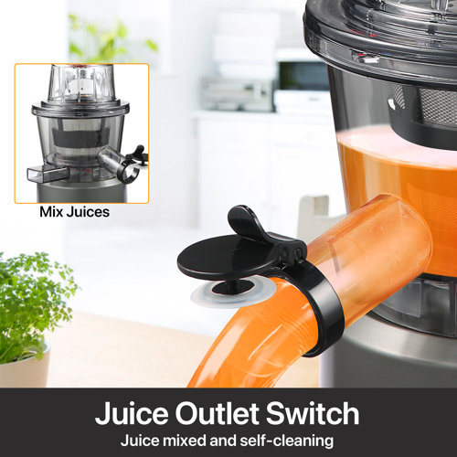 Sifene Vertical Cold Press Juicer, Slow Masticating Juicer Machine
